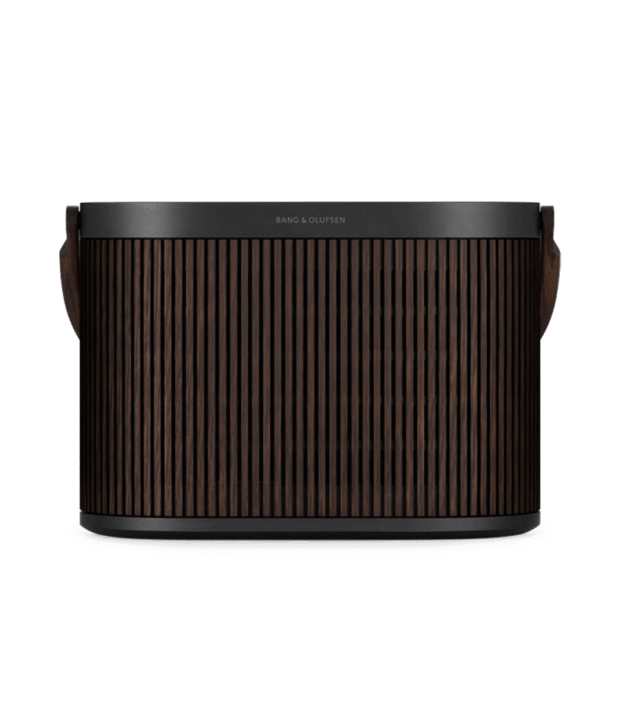 Powerful portable speaker